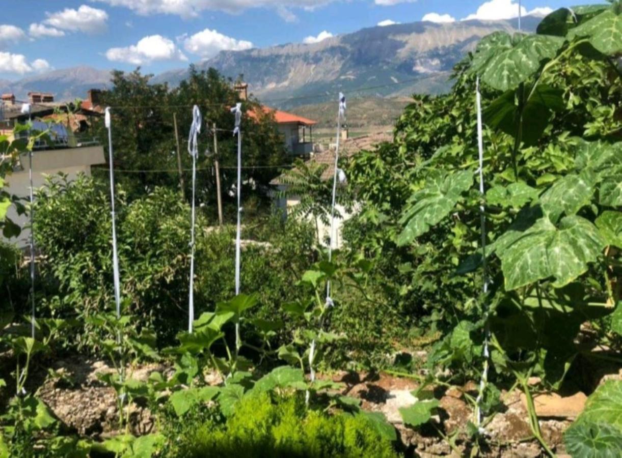 Miziriguesthouse Gjirokaster Ngoại thất bức ảnh